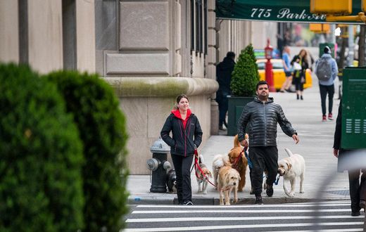 Park Avenue: Flowers and financiers, in the thick of it all