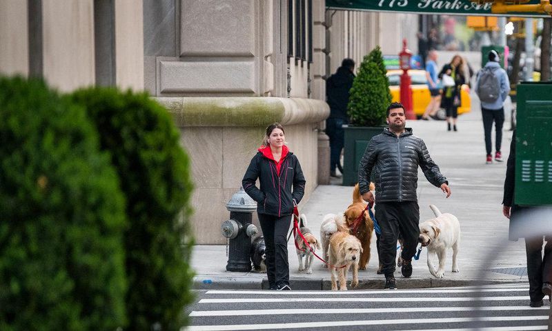 Park Avenue: Flowers and financiers, in the thick of it all