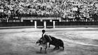 The Gay Jewish Matador from Brooklyn