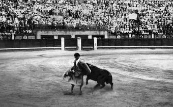 The Gay Jewish Matador from Brooklyn