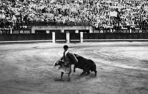 The Gay Jewish Matador from Brooklyn