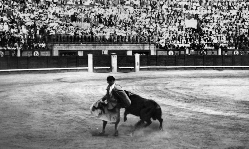The Gay Jewish Matador from Brooklyn