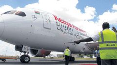 Important lessons from stowaway who fell off KQ flight from Nairobi to London