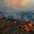 Indonesian forest fires are an annual problem during the dry season but this year's are the worst since 2015, when the region was choked by toxic smoke for weeks