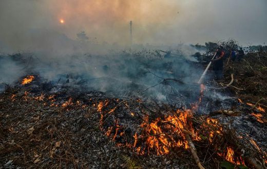 Indonesian forest fires are an annual problem during the dry season but this year's are the worst since 2015, when the region was choked by toxic smoke for weeks