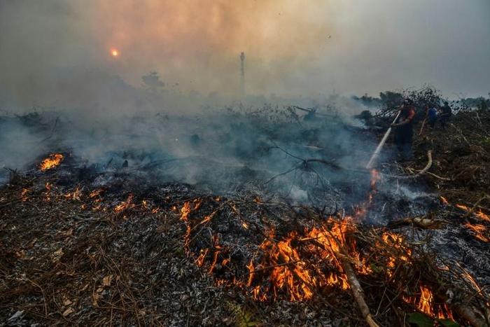 Indonesian forest fires are an annual problem during the dry season but this year's are the worst since 2015, when the region was choked by toxic smoke for weeks