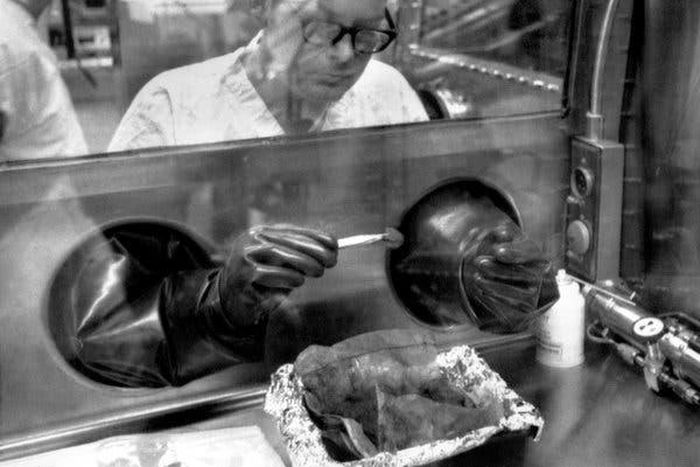 Neil Armstrong first man on the moon, and its first great geologist