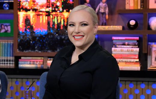 Meghan McCain Just Clapped Back At A Body Shamer