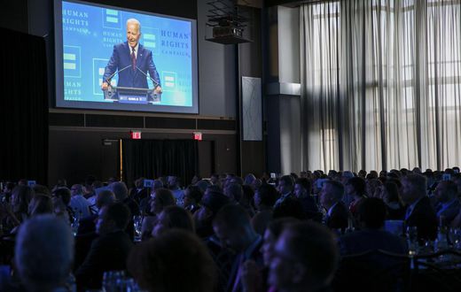 Biden's Campaign Approach: Run Like It's a Primary of One