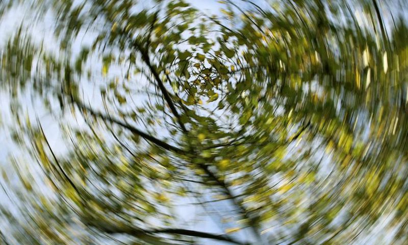 This Simple Exercise Made My Vertigo Disappear