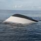 A boat that capsized