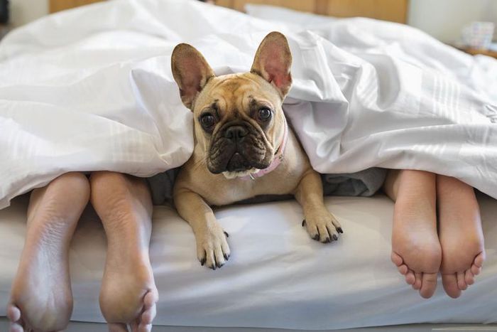 9 Awkward Sex Things No One Talks About