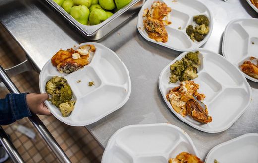 Trump Administration Delays Cuts to Food Stamps and School Meals