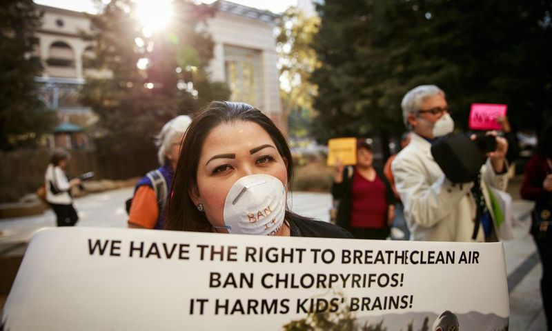 EPA Won't Ban Chlorpyrifos, Pesticide Tied to Children's Health Problems