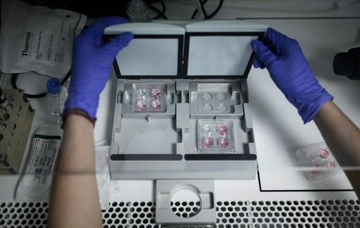 A recent poll found that 68 percent of French people approved IVF and other medically assisted procreation for single women, and 65 percent for lesbian couples