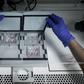 A recent poll found that 68 percent of French people approved IVF and other medically assisted procreation for single women, and 65 percent for lesbian couples