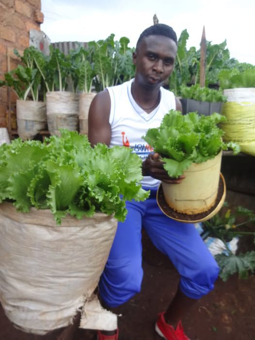 Bomet teacher’s farming initiative gets him shortlisted for Sh129M award