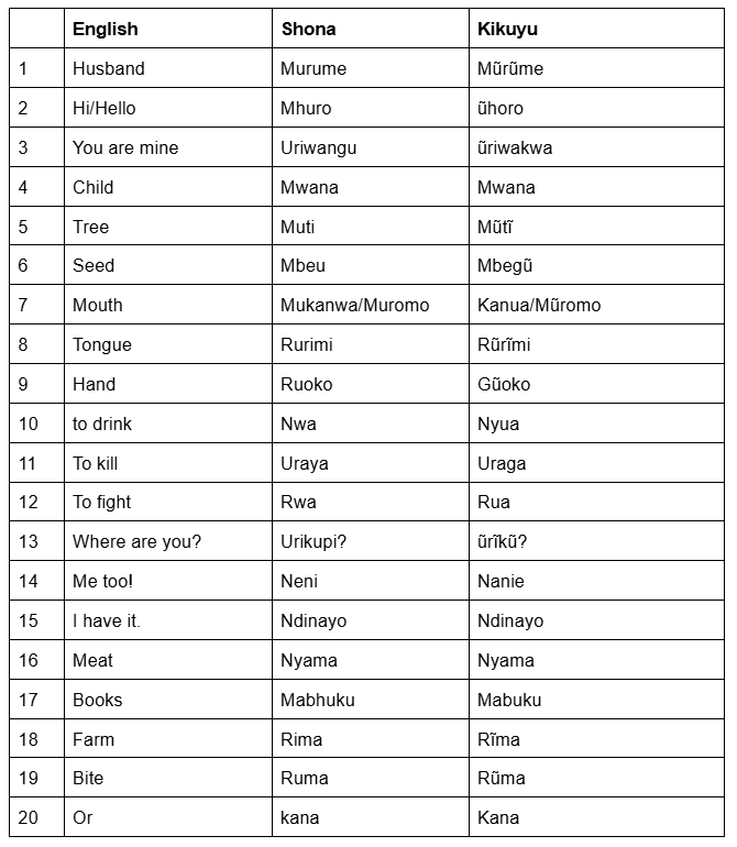 20 Kikuyu words, phrases that mean the same in Shona, Zimbabwe's largest ethnic group