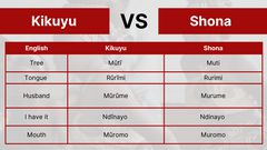 20 Kikuyu words, phrases that mean the same in Shona, Zimbabwe's largest ethnic group
