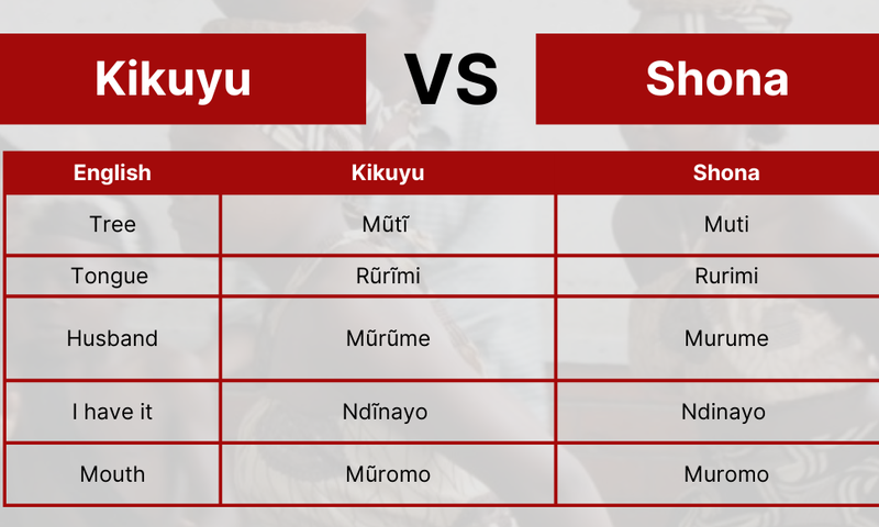 20 Kikuyu words, phrases that mean the same in Shona, Zimbabwe's largest ethnic group
