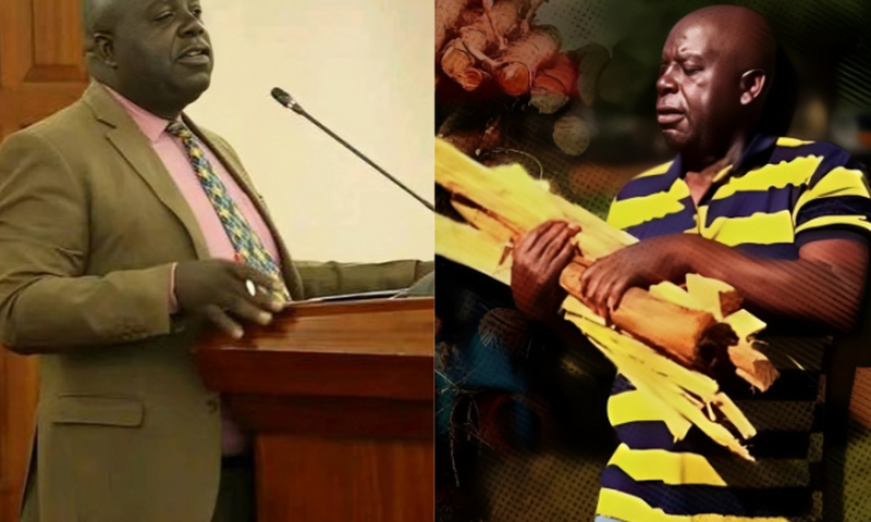 Ex-Vihiga Deputy Governor Caleb Amaswache in 2015 (Left) and in 2025 when selling firewood for a living