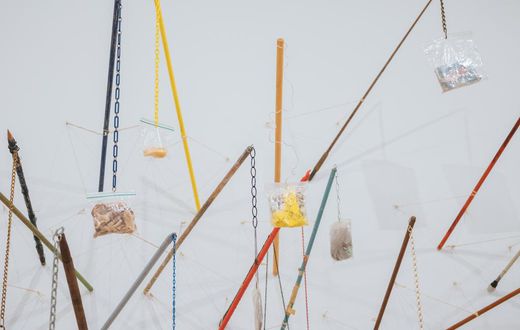 Trash-Stalking With Rachel Harrison