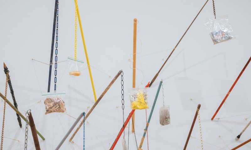 Trash-Stalking With Rachel Harrison