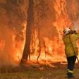 Australia's band of doctors, farmers and factory workers who -- at 70,000-strong -- are the world's largest volunteer fire service