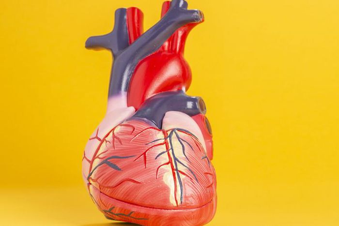 Dr. Pimple Popper Pulls Out a 'Heart' Lipoma