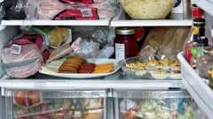 full fridge inside fridge