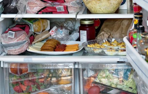 full fridge inside fridge