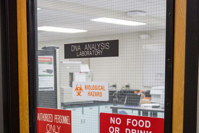 When a DNA Test Says You're a Younger Man, Who Lives 5,000 Miles Away