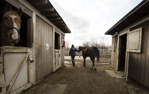 The Last of New York's Black Cowboys