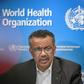 WHO chief Tedros Adhanom Ghebreyesus warned that confirmed cases of coronavirus being transmitted by people who have never travelled to China could be the 'tip of the iceberg'