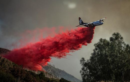 Lessons We Learned From the California Wildfires