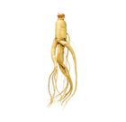 Which Popular Memory Boosters Really Work