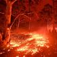 Burning embers cover the ground as firefighters battle against bushfires around the town of Nowra in the Australian state of New South Wales on December 31, 2019