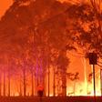 Temperatures were likewise higher than normal in New South Wales in Australia, where massive bushfires devastated large areas of the state