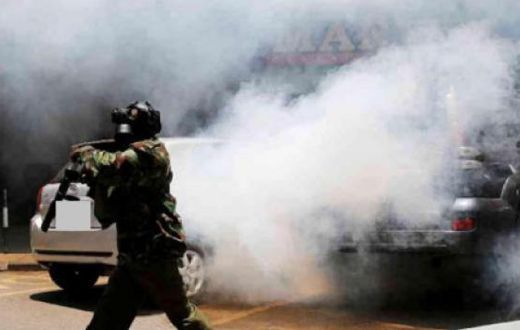 File image of police using teargas to disperse a crowd at a past event