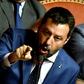 Salvini has repeatedly said that he wants his day in court, and most parties have said they will vote for him to go to trial