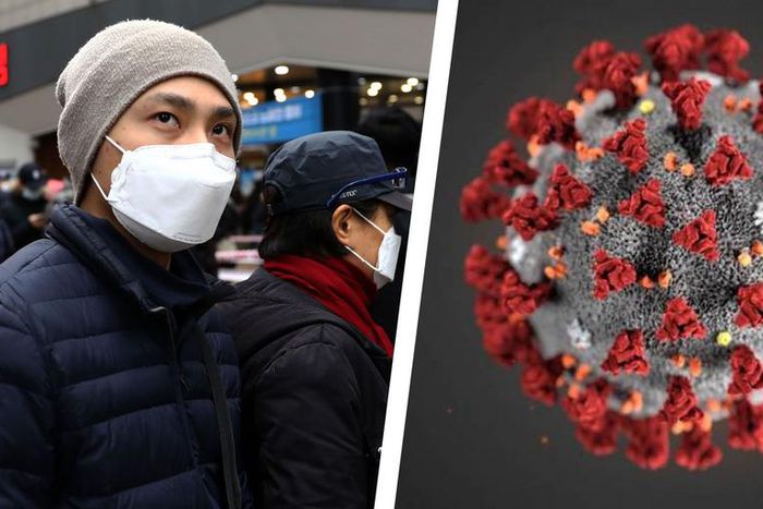 20 Questions About the Coronavirus, Answered