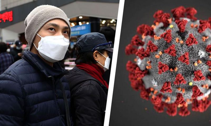 20 Questions About the Coronavirus, Answered