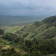 Crops border Virunga National Park in DR Congo, where the goverment faces a daunting challenge to protect the rainforest