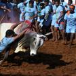 On the opening day of the bull-taming festival in India's Madurai city, more than 20 men were injured