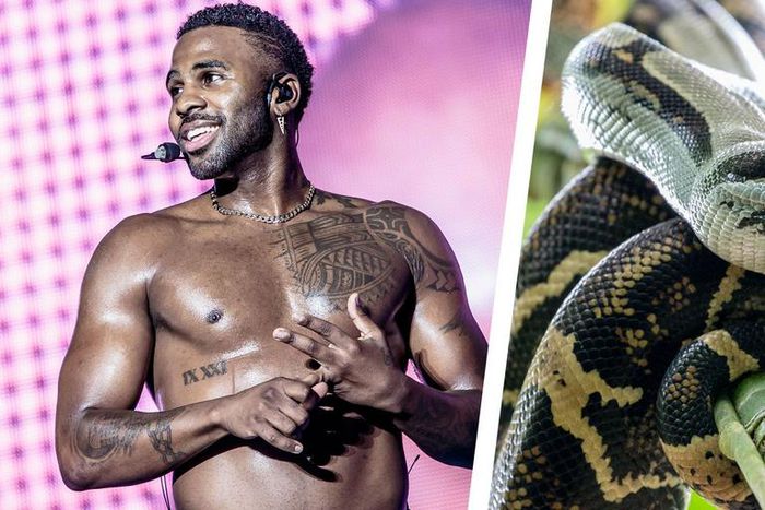 Jason Derulo Has an 'Anaconda' in His Pants
