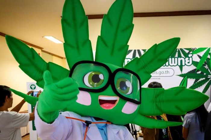 A cannabis plant mascot entertains patients at the opening of a medical marijuana clinic in Bangkok