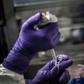France has now detected a total of 11 cases of the novel coronavirus