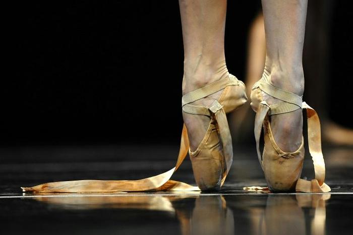 Vienna's ballet academy is accused of inflicting serious physical and mental abuse on its students as well as of sexual assault