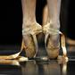 Vienna's ballet academy is accused of inflicting serious physical and mental abuse on its students as well as of sexual assault
