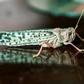 Desert locusts threaten East Africa's food security